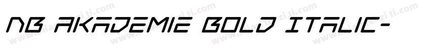 NB Akademie Bold Italic字体转换